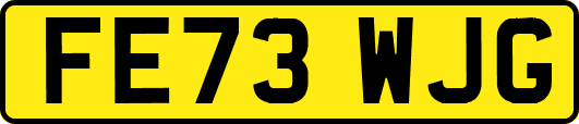 FE73WJG