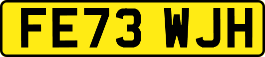 FE73WJH