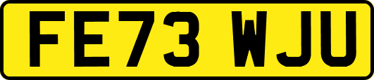 FE73WJU