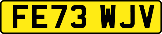 FE73WJV