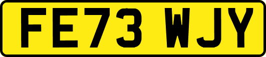 FE73WJY