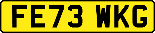 FE73WKG