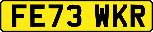 FE73WKR