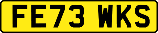 FE73WKS