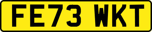 FE73WKT