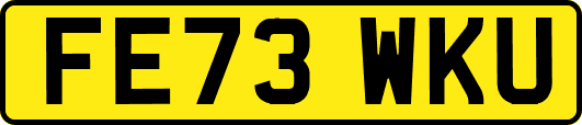 FE73WKU