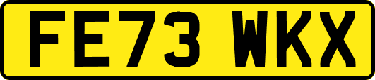 FE73WKX