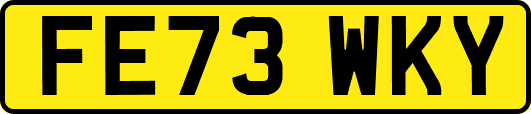 FE73WKY