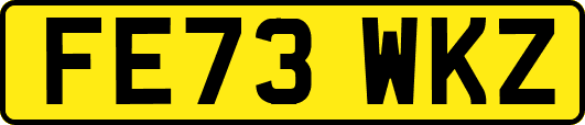 FE73WKZ
