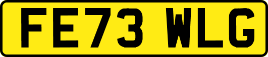 FE73WLG
