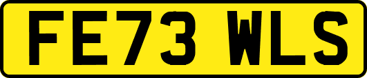 FE73WLS