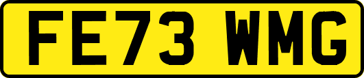 FE73WMG