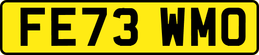 FE73WMO