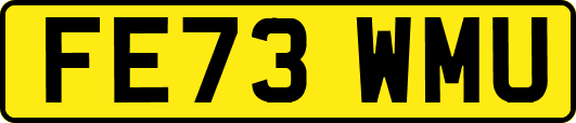 FE73WMU