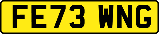FE73WNG
