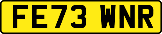 FE73WNR
