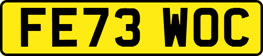 FE73WOC