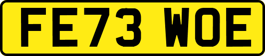 FE73WOE