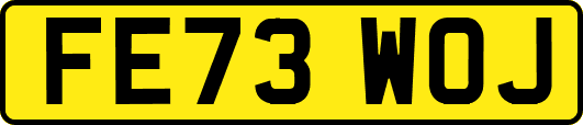 FE73WOJ
