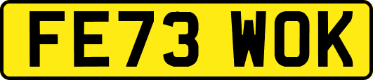 FE73WOK