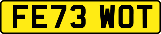 FE73WOT