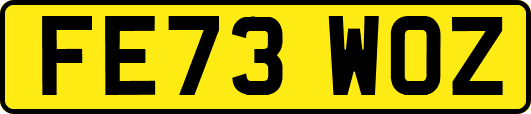FE73WOZ