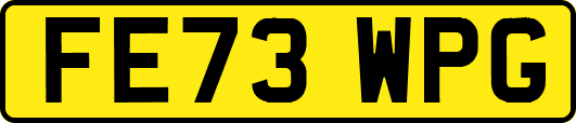 FE73WPG