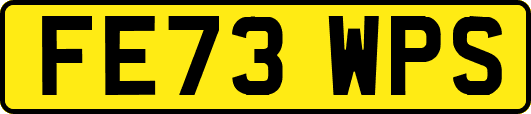 FE73WPS