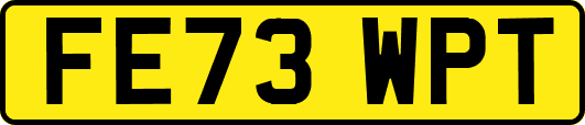 FE73WPT