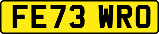 FE73WRO