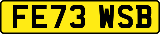 FE73WSB
