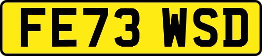FE73WSD