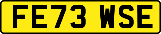 FE73WSE