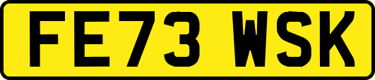 FE73WSK