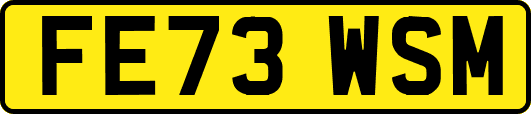 FE73WSM