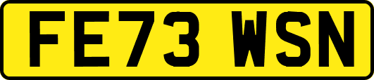 FE73WSN