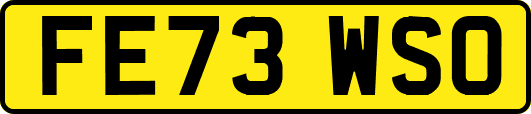 FE73WSO