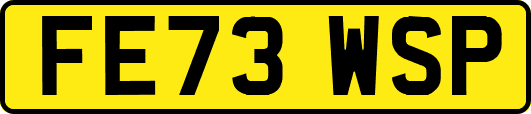 FE73WSP