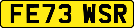 FE73WSR