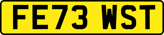 FE73WST