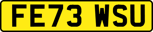 FE73WSU
