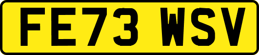FE73WSV