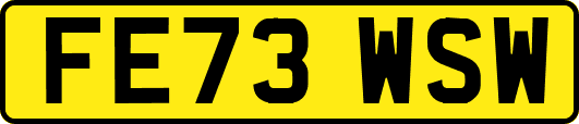 FE73WSW