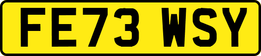 FE73WSY