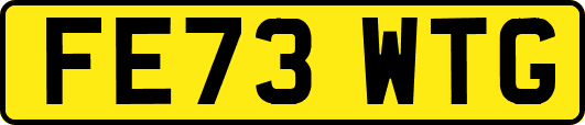 FE73WTG