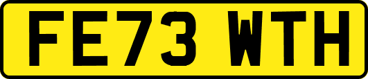 FE73WTH