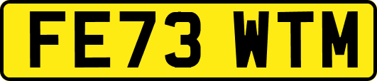 FE73WTM