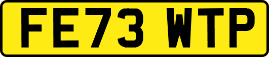 FE73WTP