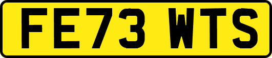 FE73WTS