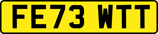 FE73WTT